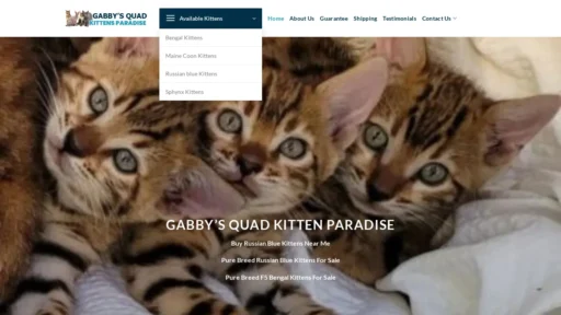 A screenshot of Gabbysquadkittenparadise.com