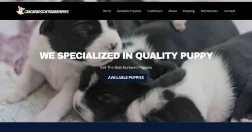 A screenshot of Genlanfamilystbernard.com