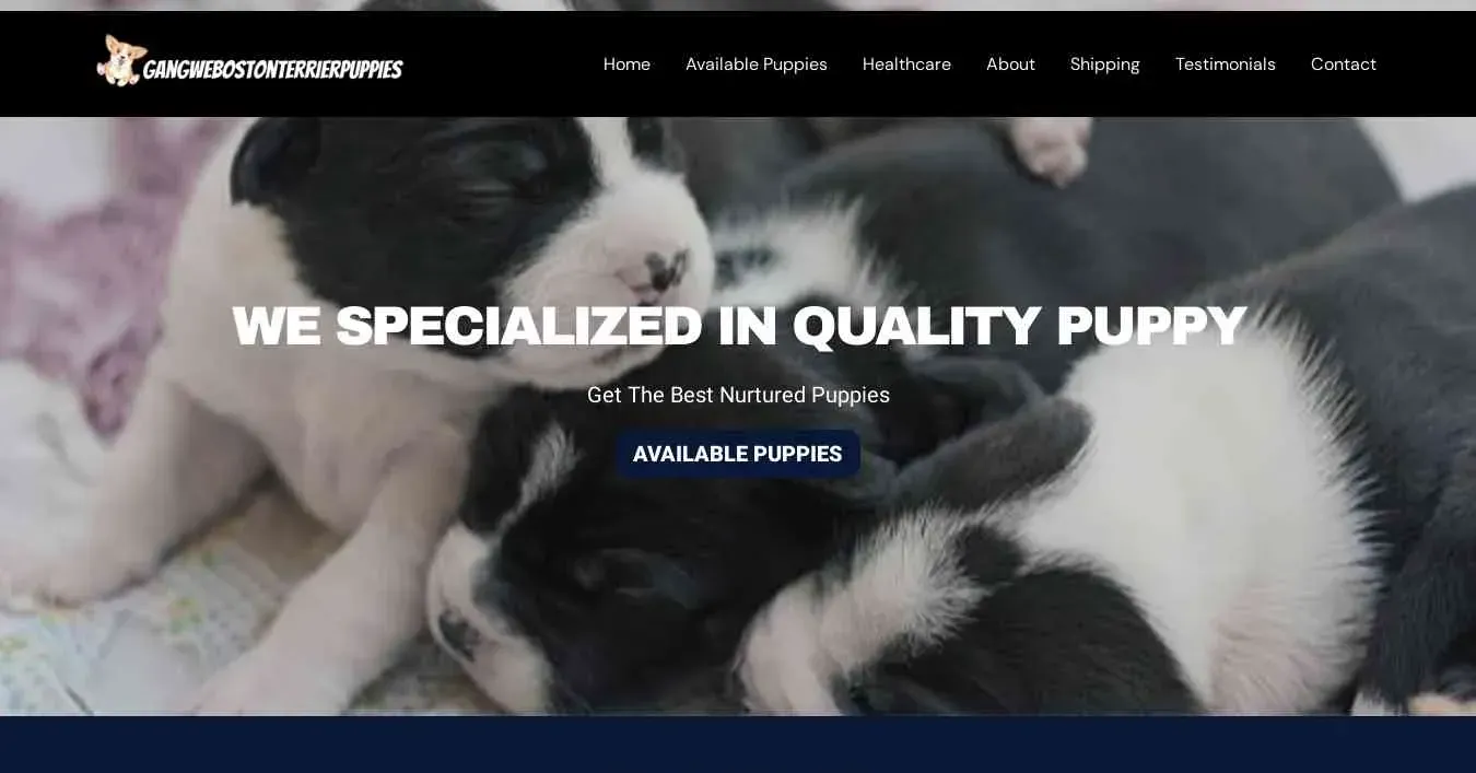 is gangwebostonterrierpuppies.com legit? screenshot