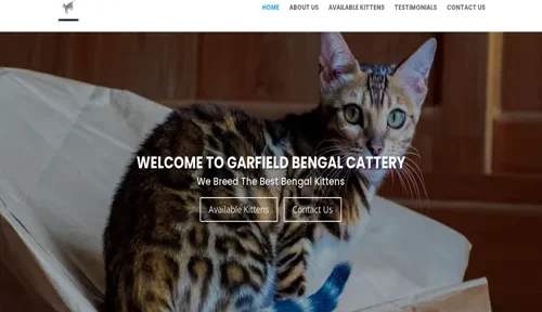A screenshot of Genlanfamilystbernard.com