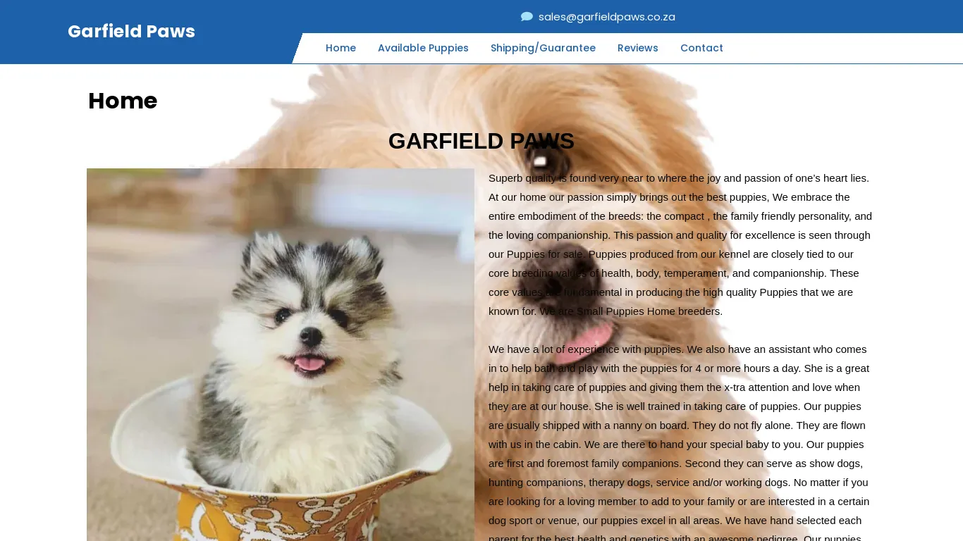is garfieldpaws.co.za legit? screenshot