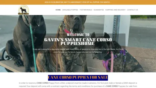 A screenshot of Gavincanecorso.com