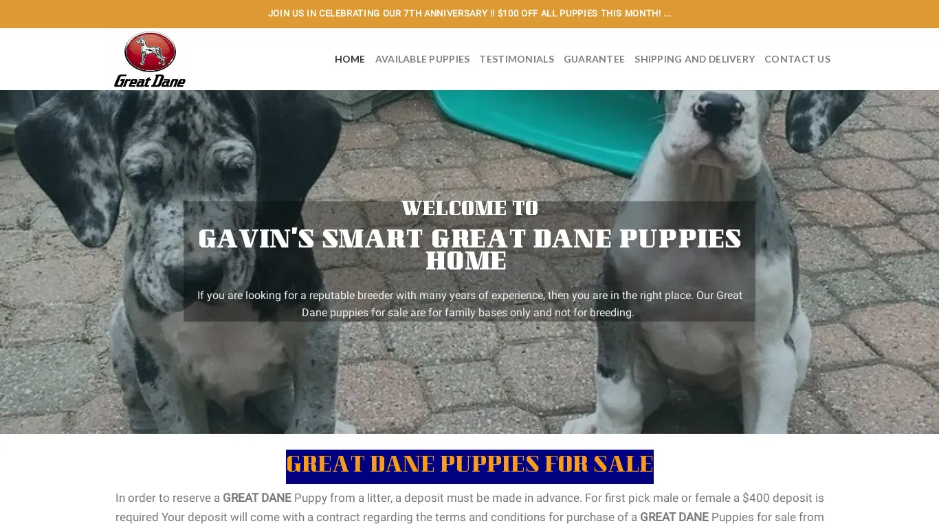 is gavingreatdanepups.com legit? screenshot