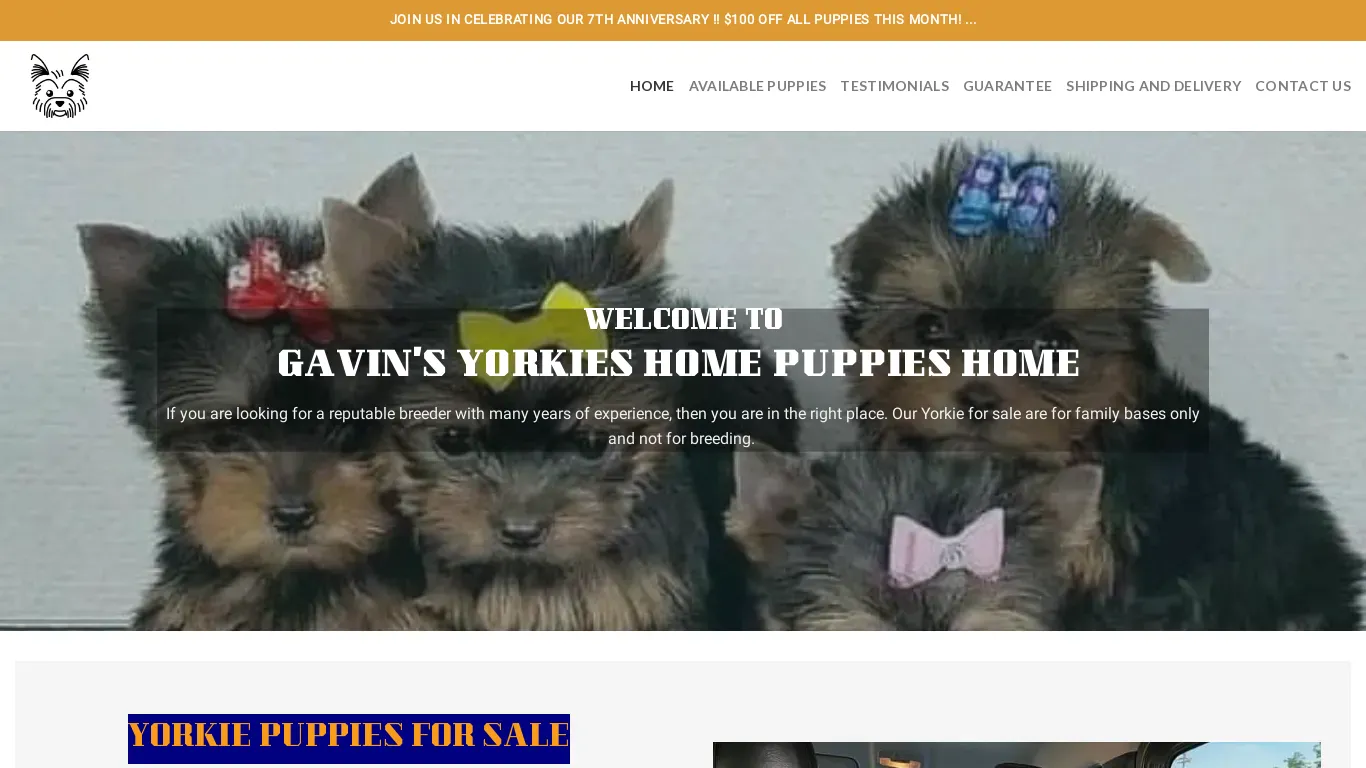 is gavinyorkieshome.com legit? screenshot
