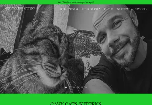 is gavycatsandkitten.com legit? screenshot