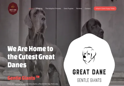 is gentledane.com legit? screenshot