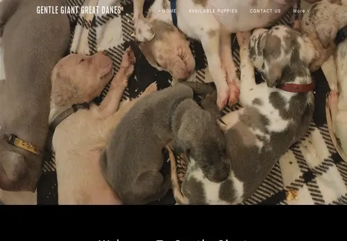 is gentlegiantsgreatdanes.com legit? screenshot