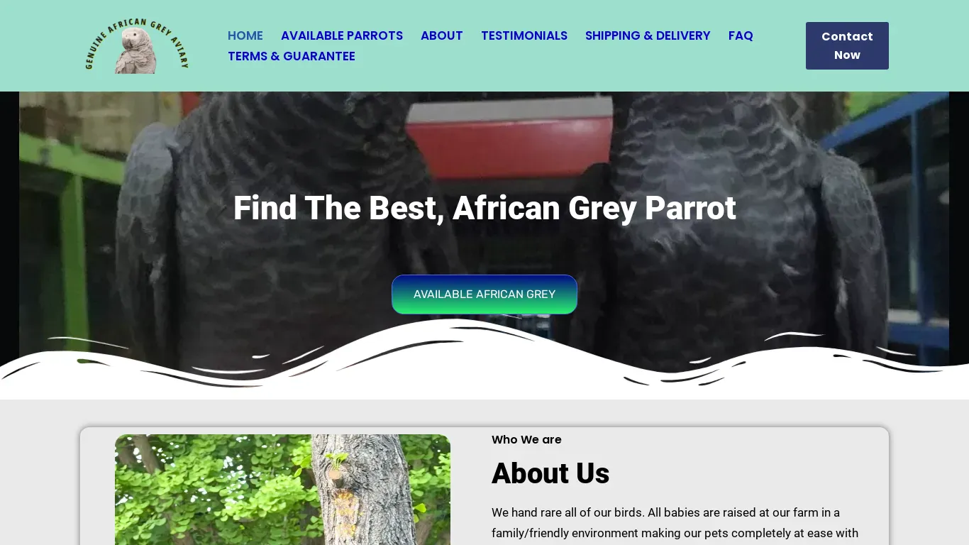 is genuineafricangreyaviary.com legit? screenshot