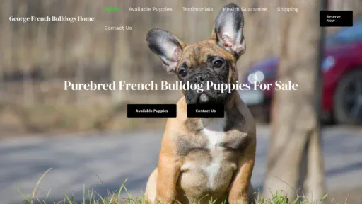 A screenshot of Georgefrenchbulldogshome.com
