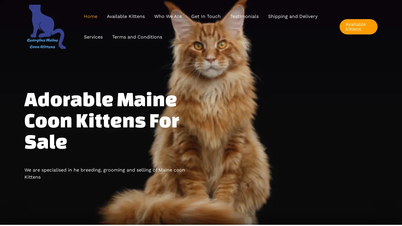 is georginamainecoonkittens.com legit? screenshot