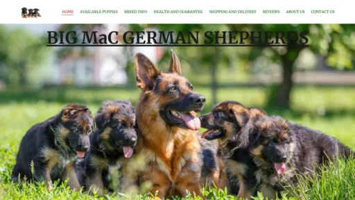 A screenshot of Germanshepherdkings.com