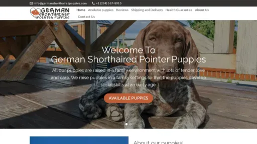 A screenshot of Germanshorthairedpuppies.com
