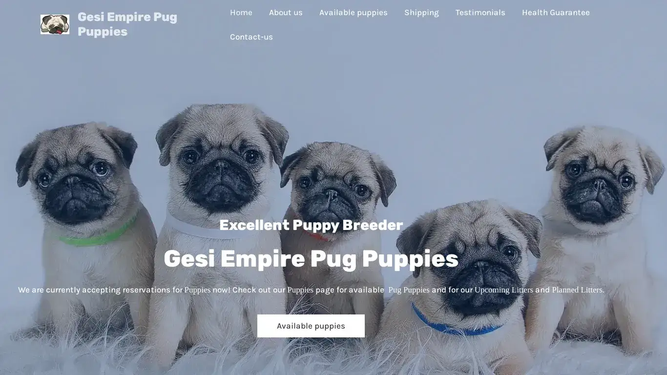 is Gesi Empire Pug Puppies legit? screenshot