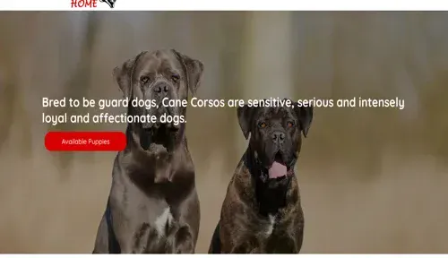 A screenshot of Genlanfamilystbernard.com
