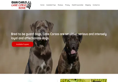 is giancarlocanecorsohome.com legit? screenshot