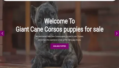 A screenshot of Genlanfamilystbernard.com