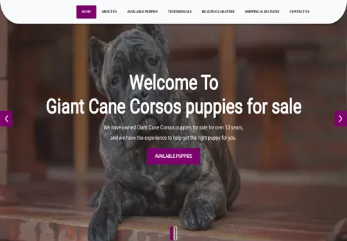 is giantcanecorsos.com legit? screenshot