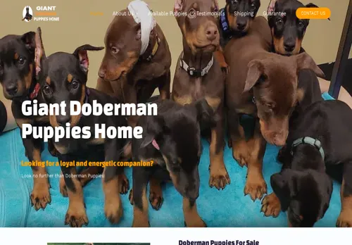 is giantdobermanpuppieshome.com legit? screenshot