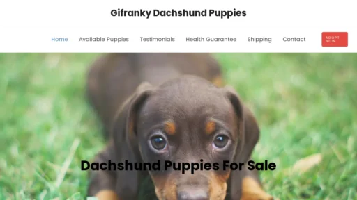 A screenshot of Gifrankydachshundpuppies.com