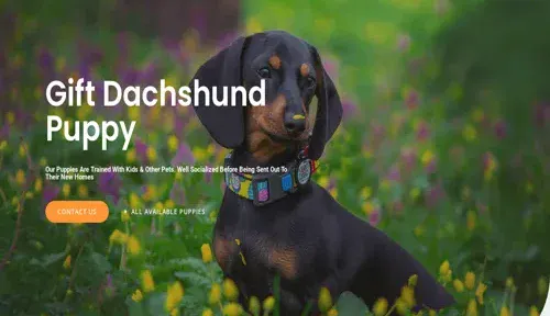 A screenshot of Genlanfamilystbernard.com