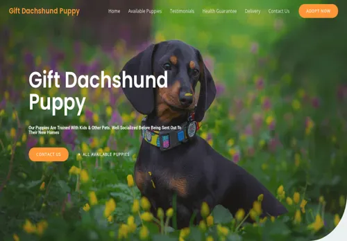 is giftdachshundpuppy.com legit? screenshot
