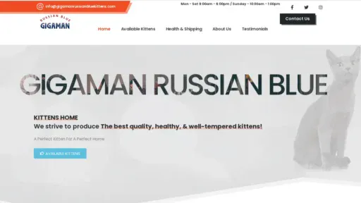 A screenshot of Gigamanrussianbluekittens.com
