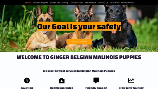 A screenshot of Gingermalinois.com
