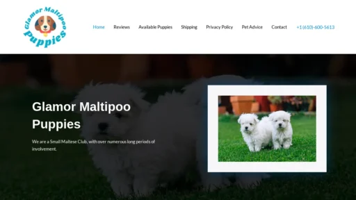 A screenshot of Glamormaltipoopuppies.com