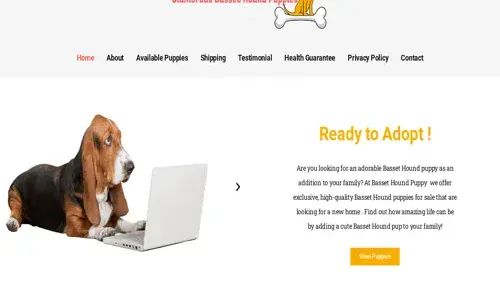 A screenshot of Genlanfamilystbernard.com