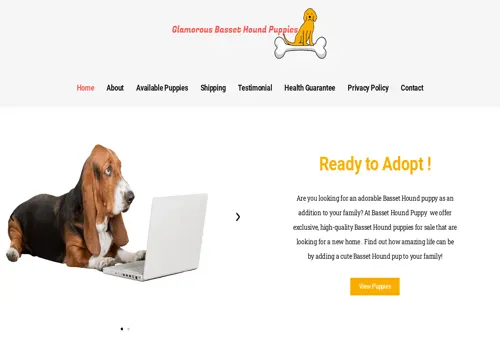 is glamorousbassethoundpuppies.com legit? screenshot
