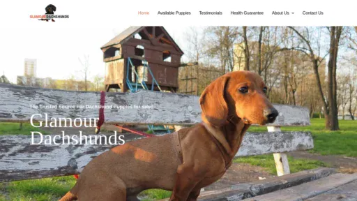 A screenshot of Glamourdachshunds.com