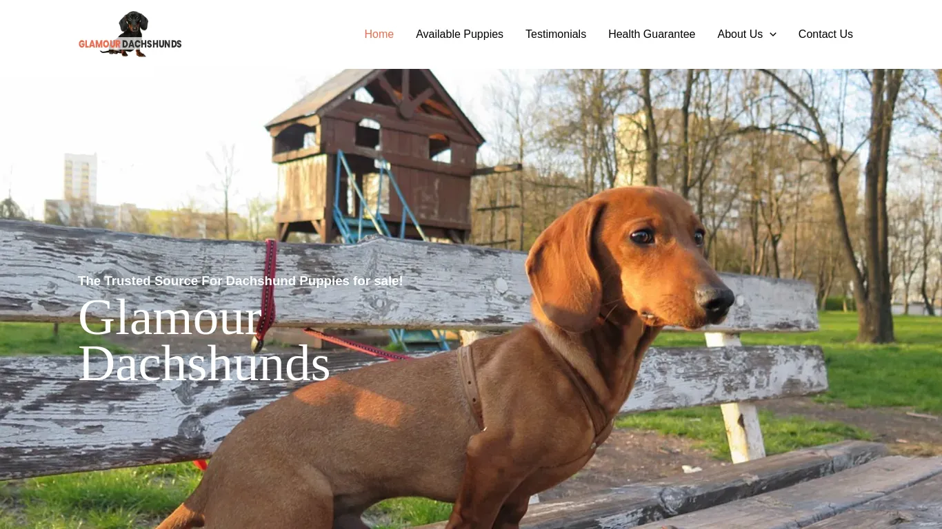is glamourdachshunds.com legit? screenshot