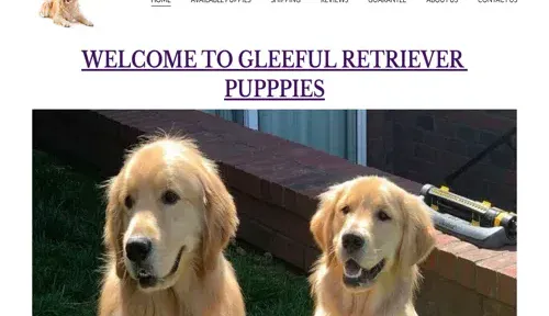 A screenshot of Genlanfamilystbernard.com