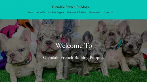 A screenshot of Glendalebulldogs.com