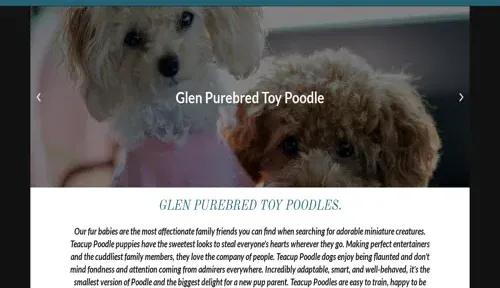 A screenshot of Genlanfamilystbernard.com
