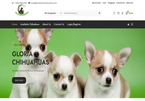 is gloriateacupschihuahuas.com legit? screenshot