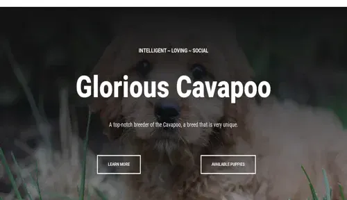 A screenshot of Genlanfamilystbernard.com