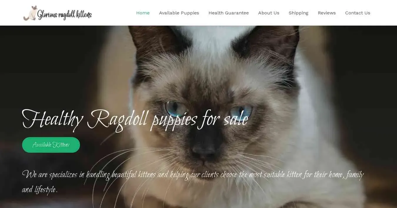 is gloriousragdollkittenz.com legit? screenshot