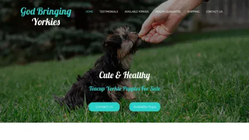 A screenshot of Godbringingyorkies.com