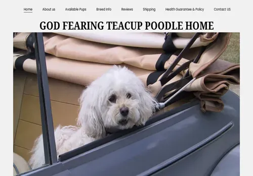 is godfearingteacuppoodles.com legit? screenshot