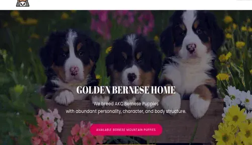 A screenshot of Genlanfamilystbernard.com