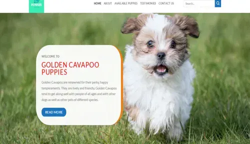 A screenshot of Genlanfamilystbernard.com