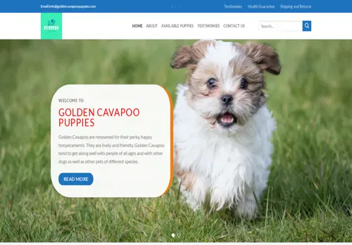 is goldencavapoopuppies.com legit? screenshot