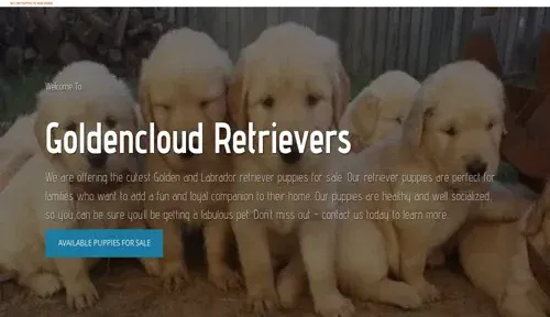 A screenshot of Genlanfamilystbernard.com