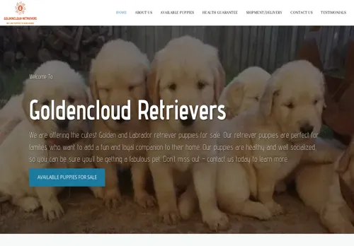 is goldencloudpuppies.com legit? screenshot