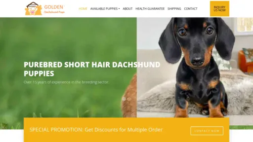 A screenshot of Goldendachshundpups.com