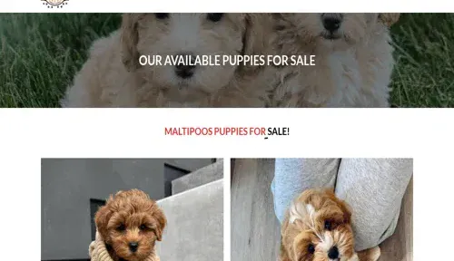 A screenshot of Genlanfamilystbernard.com