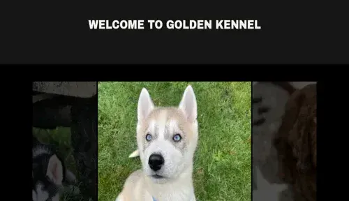 A screenshot of Genlanfamilystbernard.com