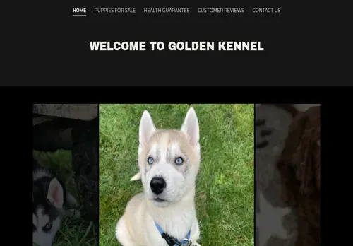 is goldenkennel.co.za legit? screenshot