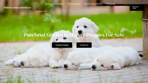 A screenshot of Goldenretrieverphileo.com